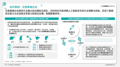德勤咨询 人工智能基础数据服务与软件开发白皮书